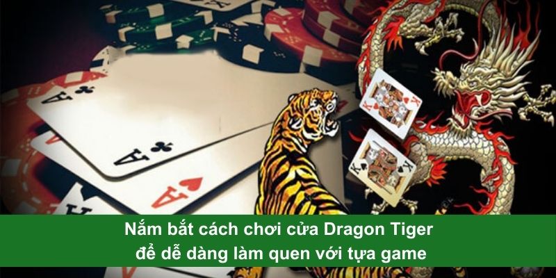 Nắm bắt cách chơi cửa Dragon Tiger để dễ dàng làm quen với tựa game