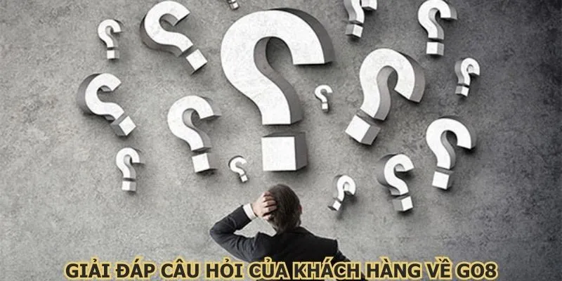 Giải đáp câu hỏi của khách hàng về Go8