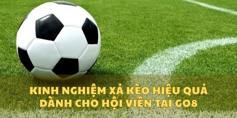 Một vài kinh nghiệm giúp mọi người thực hiện chơi cược đúng cách